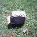 Lora Jones Photo 40
