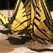 Krista Beavers Photo 15