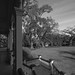 Carolyn Parish Photo 17