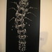 Ben Howe Photo 41