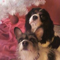 Janet Lowe Photo 5