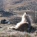Monte Lester Photo 10