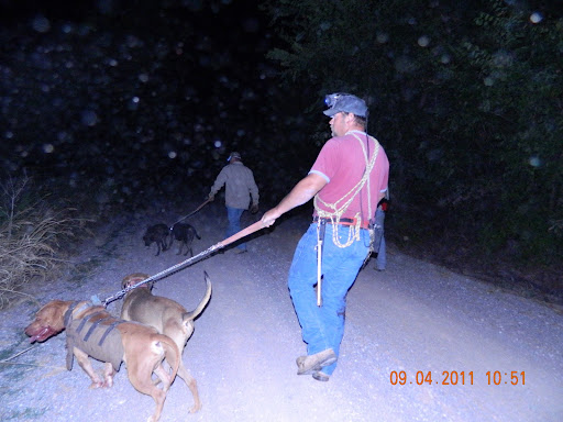 Lee Dorman Photo 10