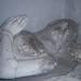 George Coggeshall Photo 11