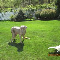 Donna Bruner Photo 6