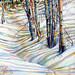 Roberta Combs Photo 22
