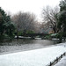 Stephen Neves Photo 26