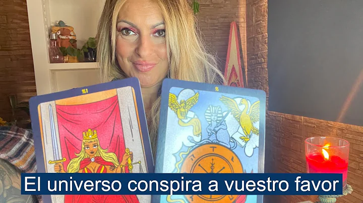 Tania Corte Photo 14