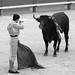Martin Lechuga Photo 31