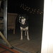Jimmy Kidd Photo 34