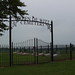 Dewitt Green Photo 20