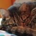 Charlene Coakley Photo 15