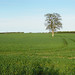 Leigh Fields Photo 30