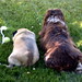 Kimberly Otis Photo 26
