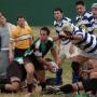 Ryan Phillips Photo 31