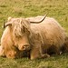 John Norwick Photo 10