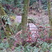 Richard Bainbridge Photo 36