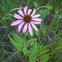 Katherine Rhoades Photo 2
