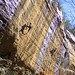Sidney Trogdon Photo 10
