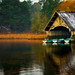 Leslie Swan Photo 35