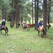 Stacey Moffitt Photo 28