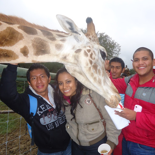 Jeremias Cruz Photo 11
