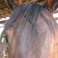Alice Grove Photo 7