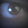 Chris Thackston Photo 9