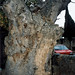 Antonio Olmos Photo 25