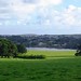 Merri Cross Photo 10