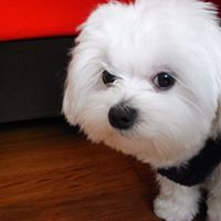 Frances Chen Photo 3