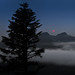 Larry Parks Photo 42
