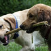 Wilson Tucker Photo 22