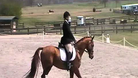 Allison Lawler Photo 23