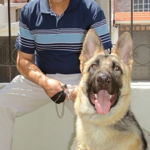 Juan Toscano Photo 15