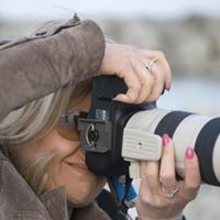 Debbie Carlton Photo 8
