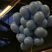 Susan Ganz Photo 22