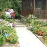 Ann Phillips Photo 14