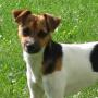 Stacy Johnston Photo 27