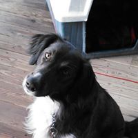 Tina Richardson Photo 2