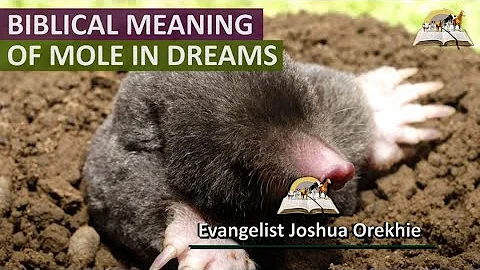 Joshua Moles Photo 8