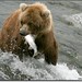 Patricia Bear Photo 27