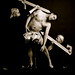Joshua Howarth Photo 21