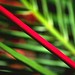 Karl Palm Photo 26