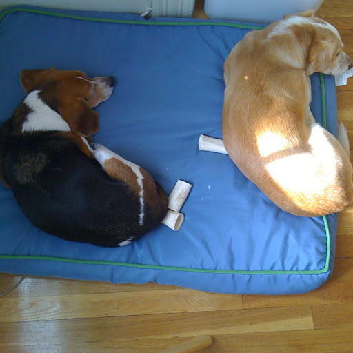 Meredith Beaton Photo 5