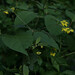 Clay Barber Photo 22
