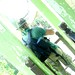 Andy Kuang Photo 29