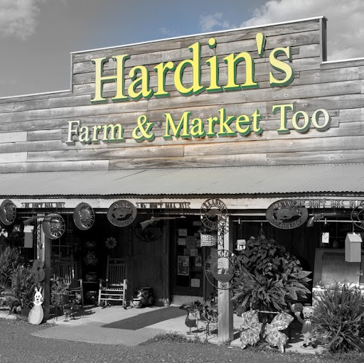 Jody Hardin Photo 8