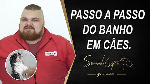 Samuel Castro Photo 39