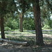 Christy Camp Photo 39